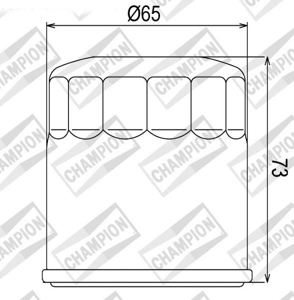 Filter ulja CHAMPION COF203 100609505