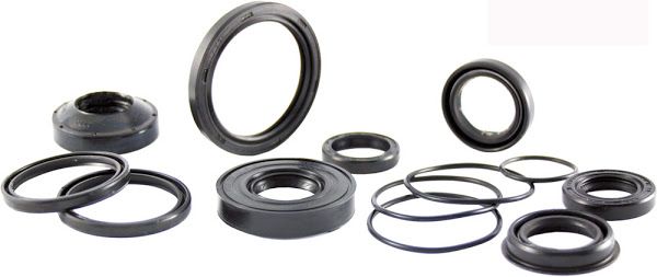 Oil seal RMS 100662390 clutch side