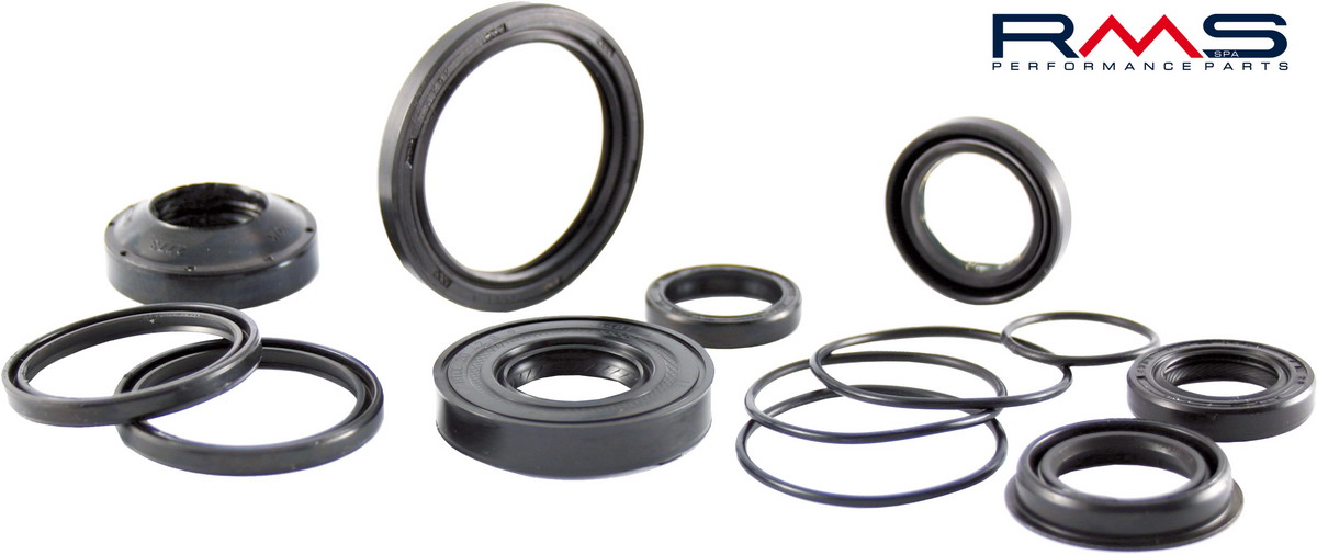 Oil seal RMS 100664000 25x40x8, crankshaft clutch side