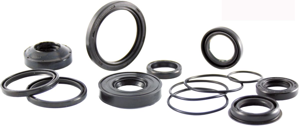 Oil seal RMS 100669300 valve stem