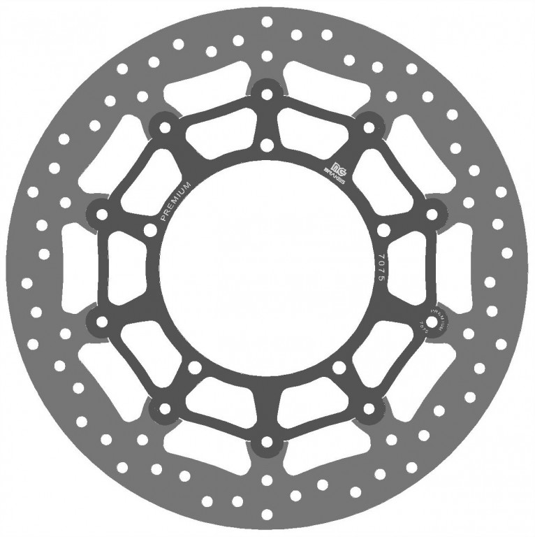 Premium brake disc NG 1058GP
