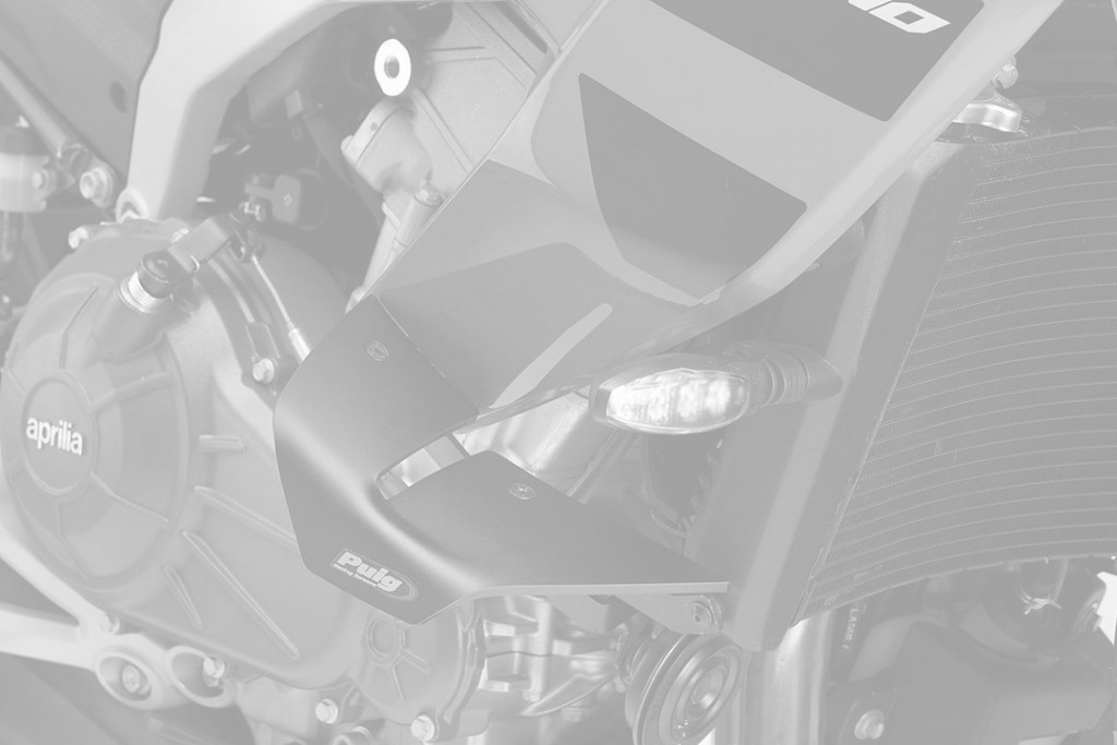 Spoilers PUIG D12 22692C carbon look