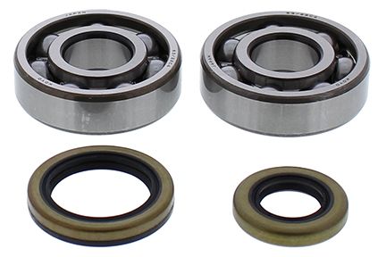 Crankshaft bearing and seal kit All Balls Racing 24-1119