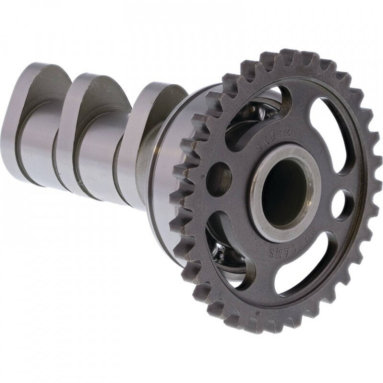 Camshaft intake HOT CAMS 4054-2IN