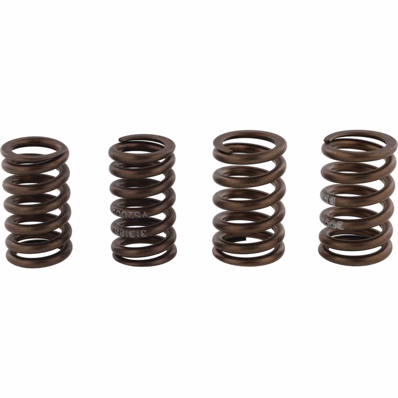 Valve spring kit HOT CAMS VSK1009