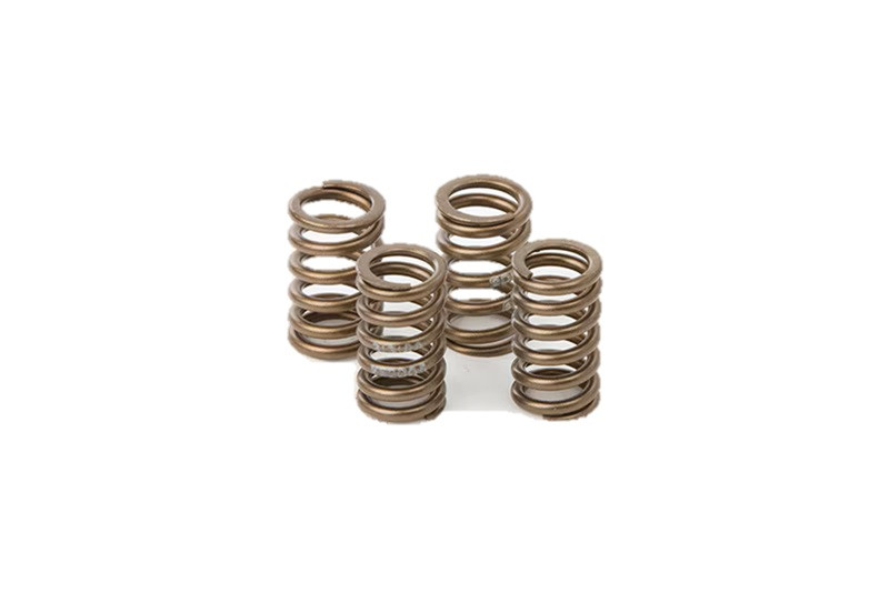 Valve spring kit HOT CAMS VSK2006
