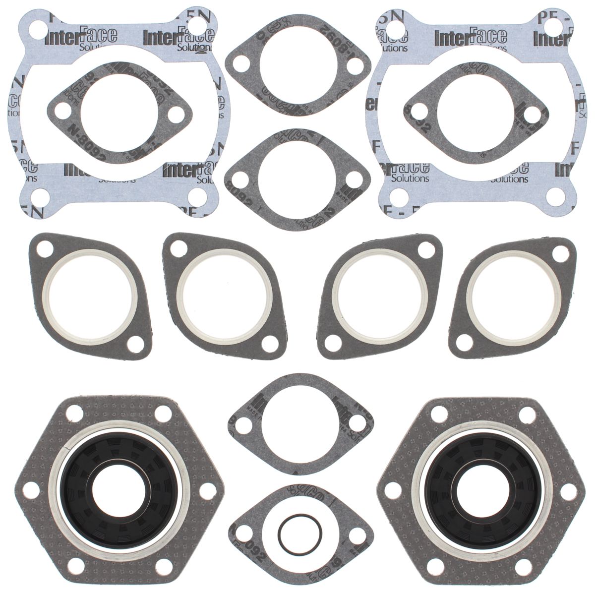 Complete Gasket Kit with Oil Seals WINDEROSA 711110A