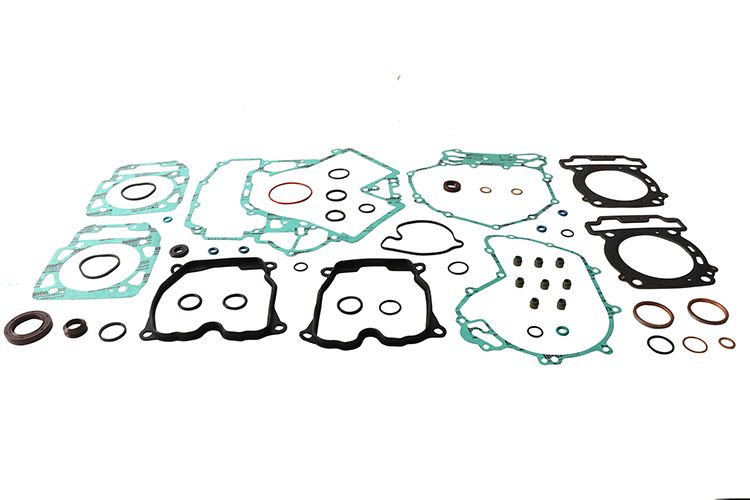 Complete Gasket Kit with Oil Seals WINDEROSA 711333