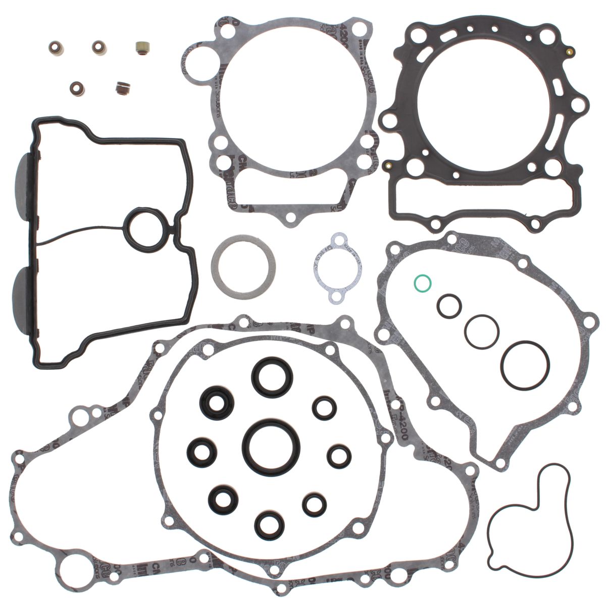 Complete Gasket Kit with Oil Seals WINDEROSA 811676