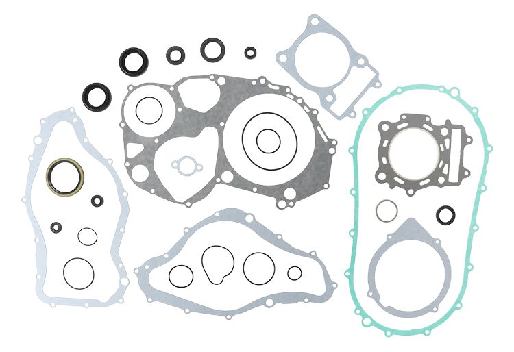 Complete Gasket Kit with Oil Seals WINDEROSA 811839