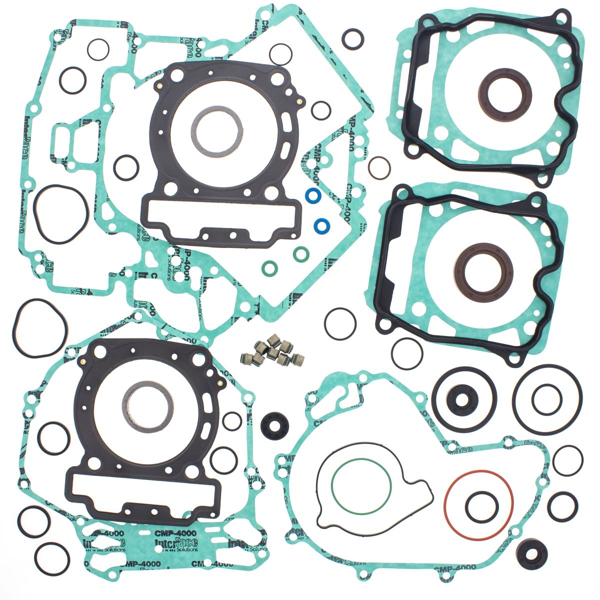 Complete Gasket Kit with Oil Seals WINDEROSA 811957