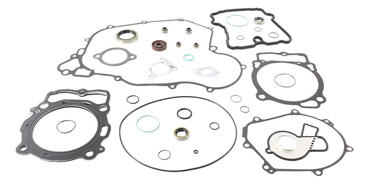 Complete gasket kit with oil seals WINDEROSA 811998