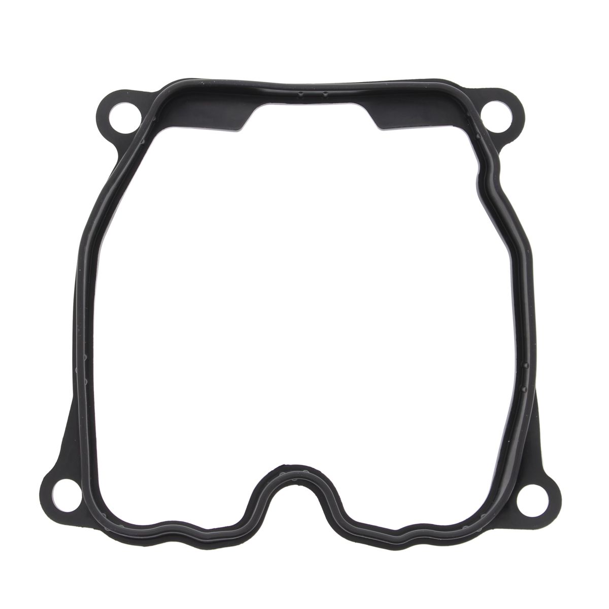 Valve cover gasket WINDEROSA 817989