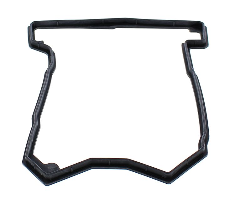 Valve cover gasket WINDEROSA 819074