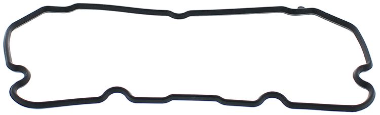 Valve cover gasket WINDEROSA 819120