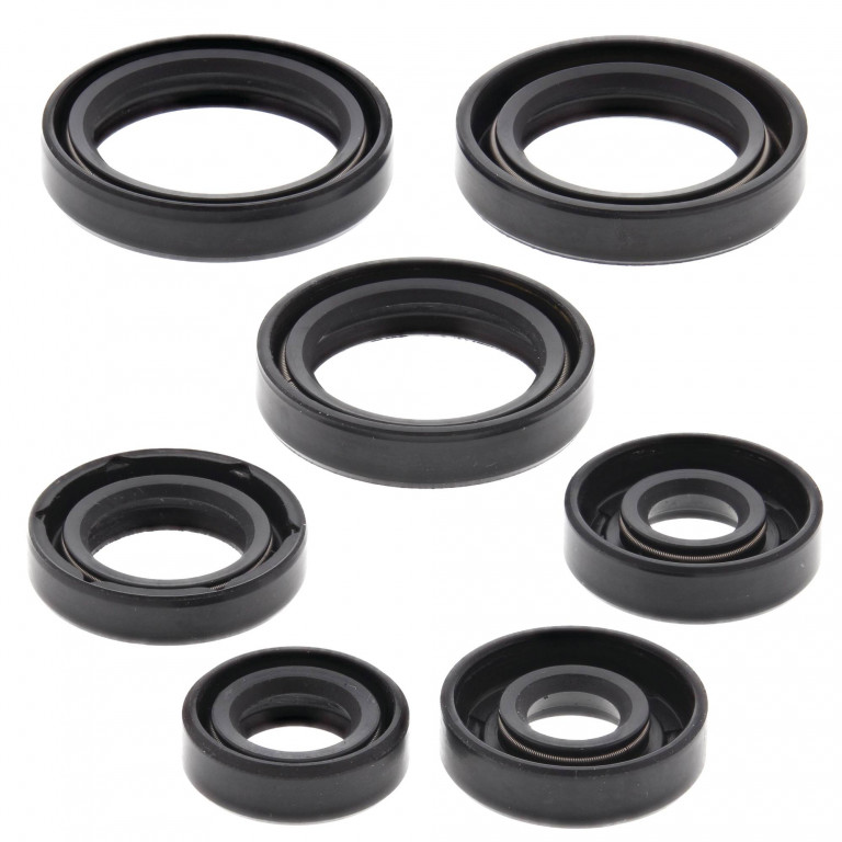 Engine Oil Seal Kit WINDEROSA 822120