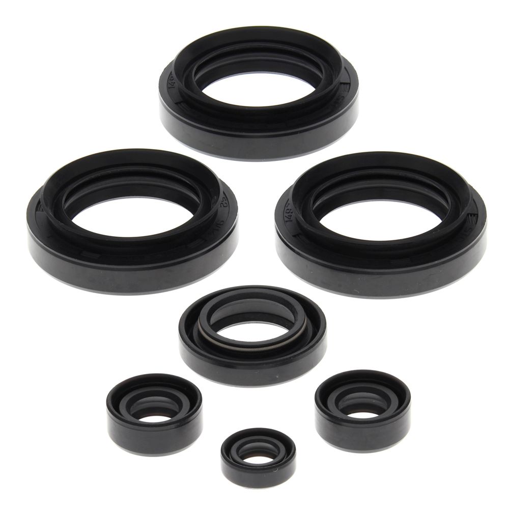 Engine Oil Seal Kit WINDEROSA 822145