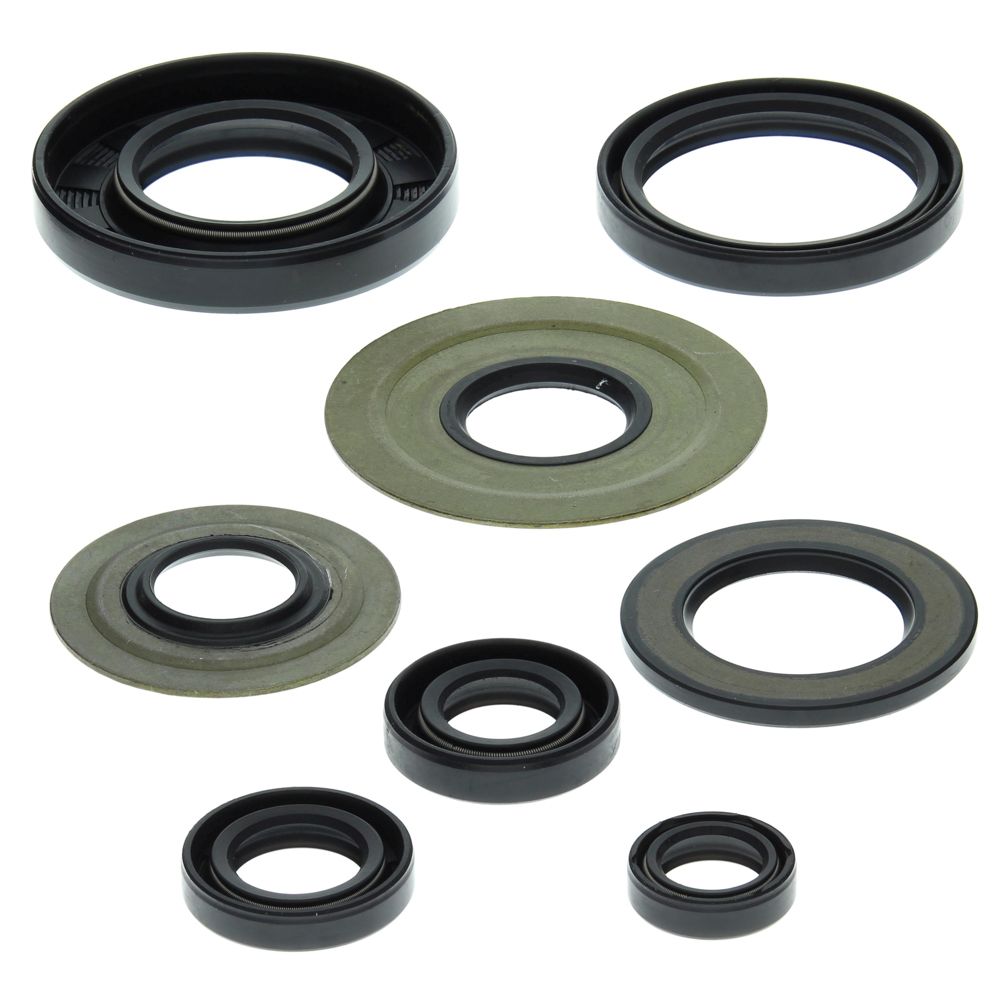 Engine Oil Seal Kit WINDEROSA 822155
