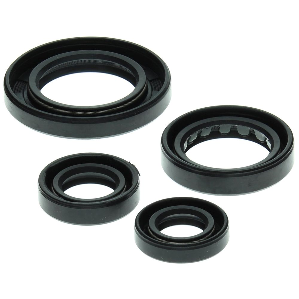 Engine Oil Seal Kit WINDEROSA 822211