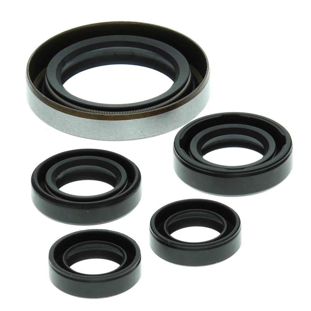 Engine Oil Seal Kit WINDEROSA 822249