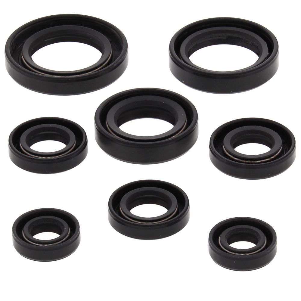 Engine Oil Seal Kit WINDEROSA 822255