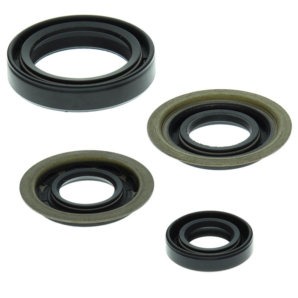 Engine Oil Seal Kit WINDEROSA 822273