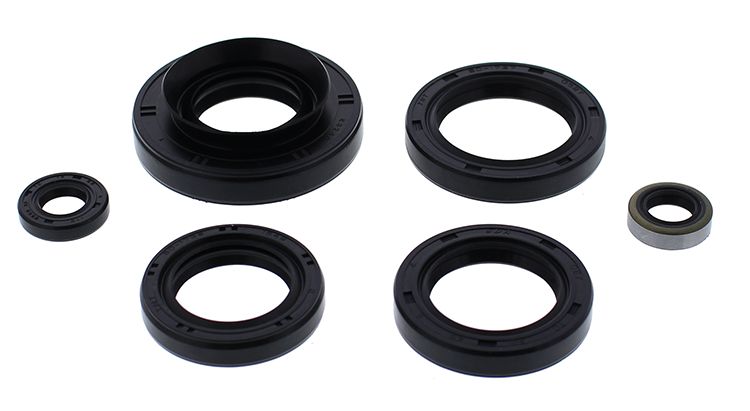 Engine Oil Seal Kit WINDEROSA 822366