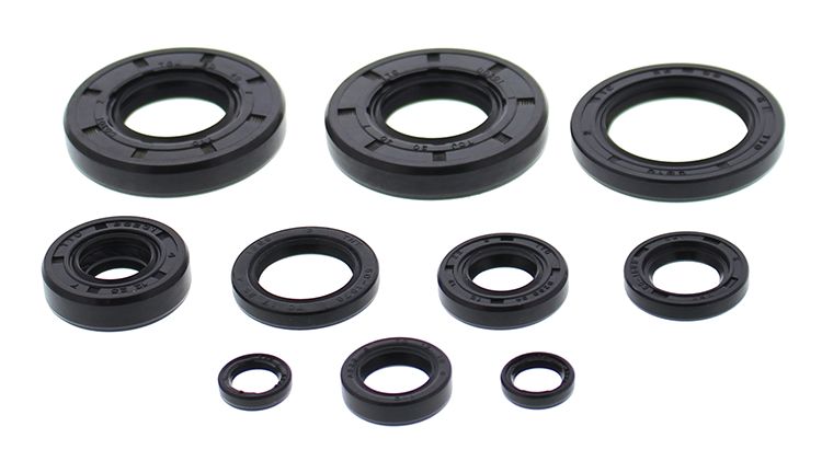 Engine Oil Seal Kit WINDEROSA 822993