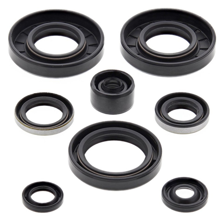 Engine Oil Seal Kit WINDEROSA 822135