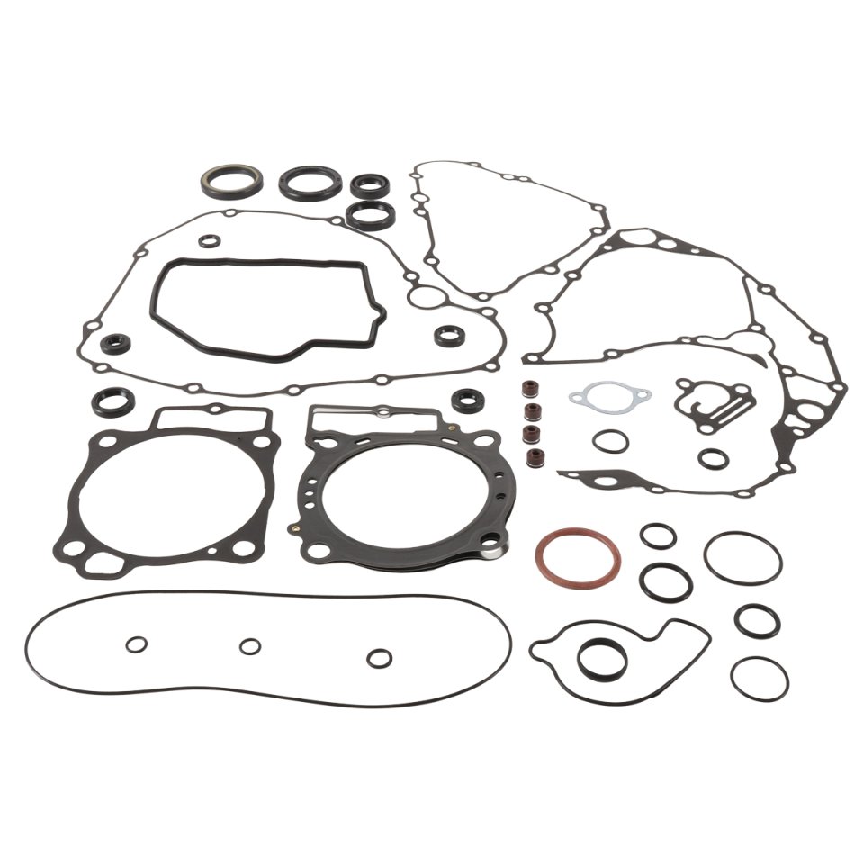 Complete Gasket Kit with Oil Seals WINDEROSA 8110012