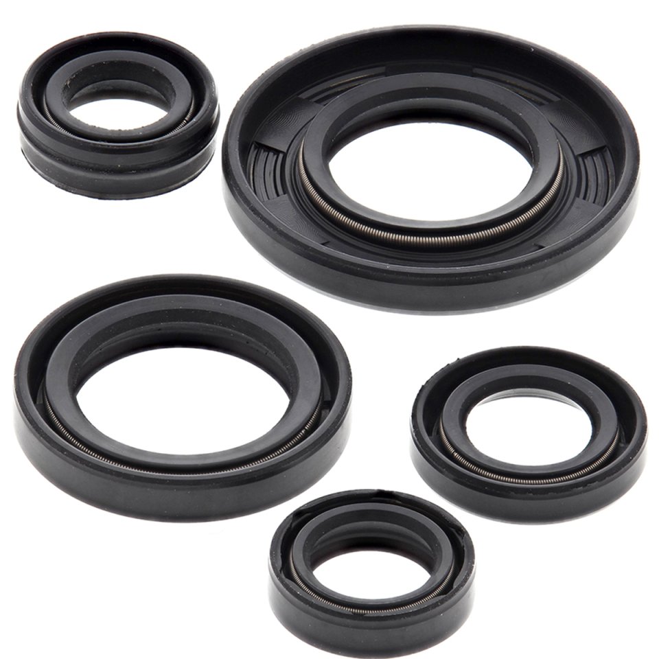 Engine Oil Seal Kit WINDEROSA 822240