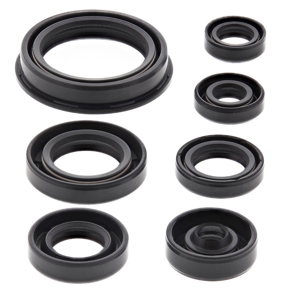 Engine Oil Seal Kit WINDEROSA 822690