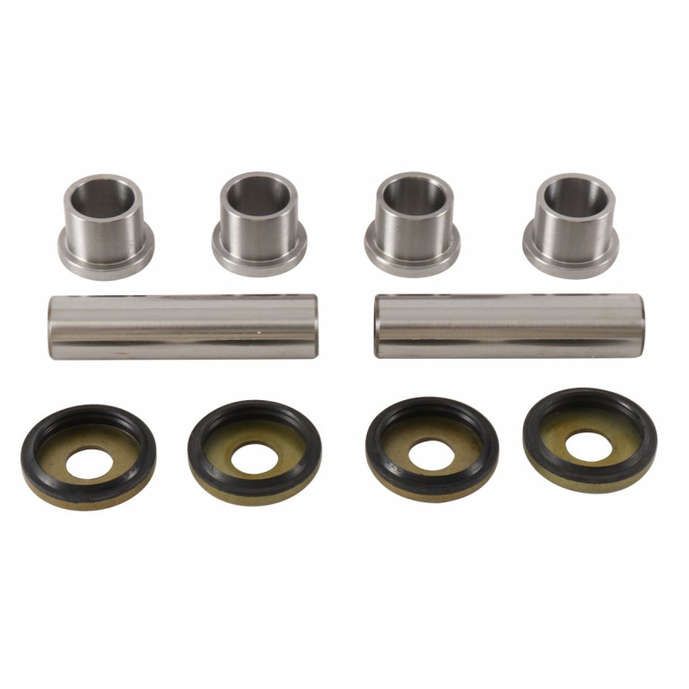 Rear Ind. Suspension Kit All Balls Racing 50-1181-K