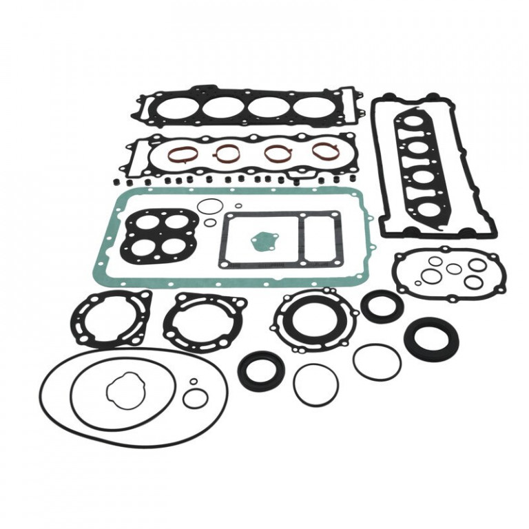Complete Gasket Kit with Oil Seals WINDEROSA 611420