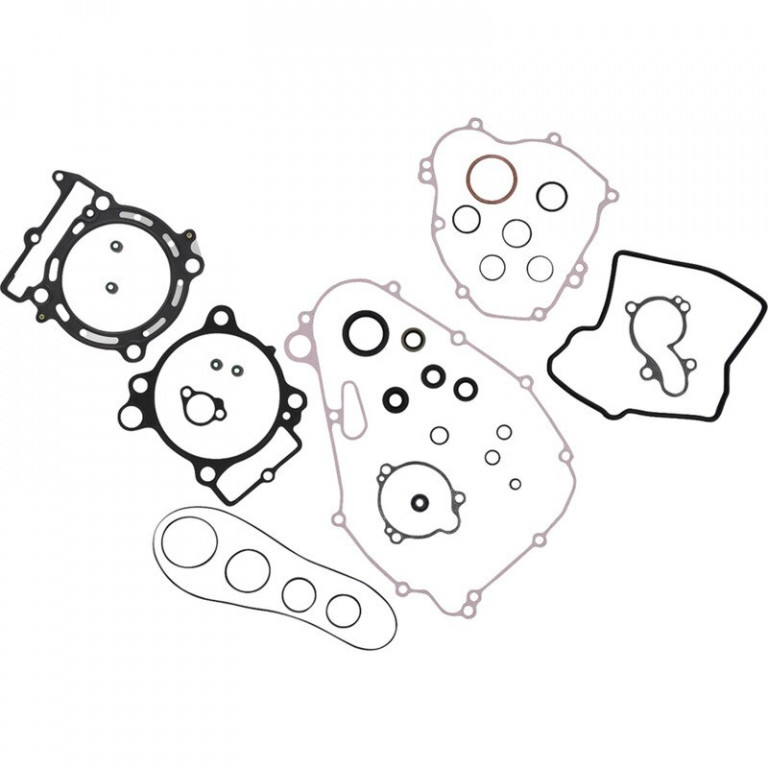 Complete Gasket Kit with Oil Seals WINDEROSA 8110027