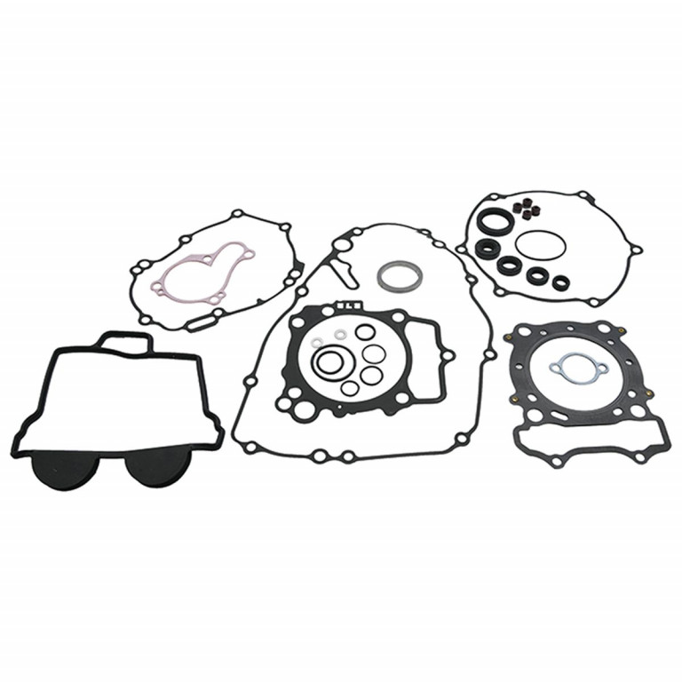 Complete Gasket Kit with Oil Seals WINDEROSA 8110029