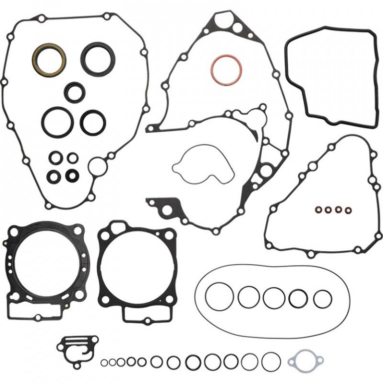 Complete Gasket Kit with Oil Seals WINDEROSA 8110035