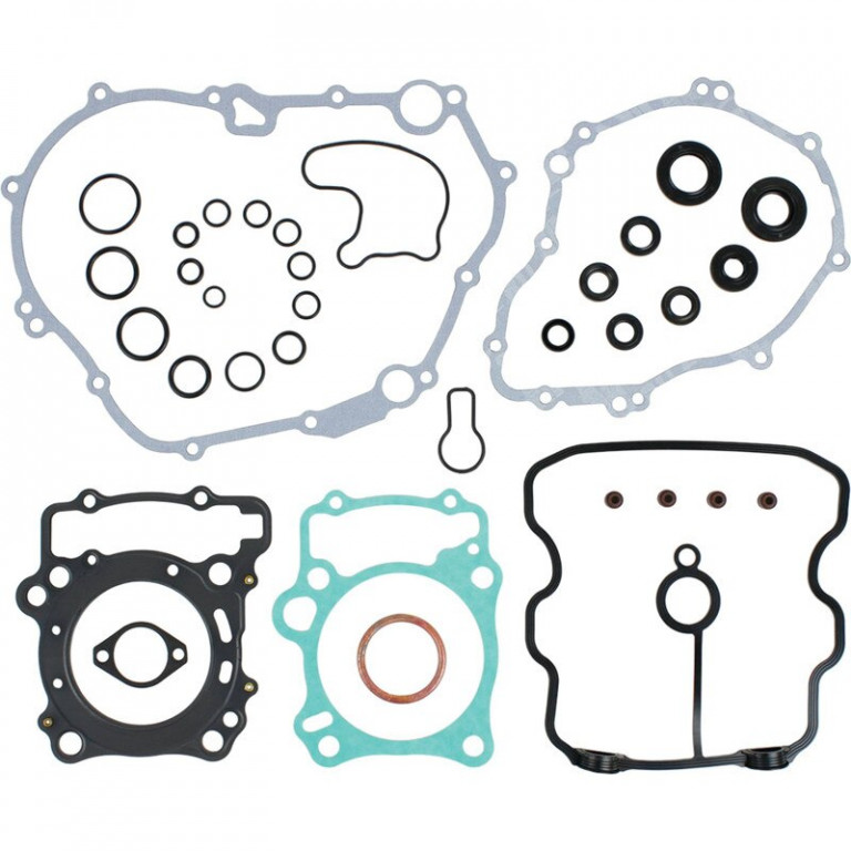 Complete Gasket Kit with Oil Seals WINDEROSA 8110036