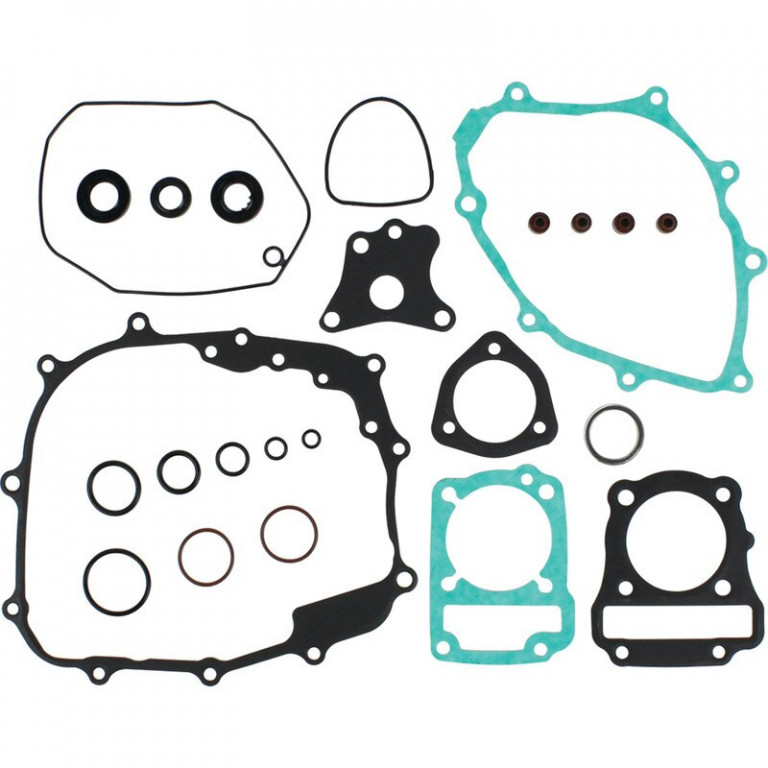 Complete Gasket Kit with Oil Seals WINDEROSA 8110043