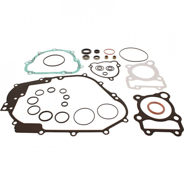 Complete Gasket Kit with Oil Seals WINDEROSA 8110047