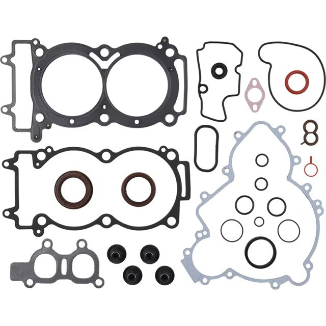 Complete Gasket Kit with Oil Seals WINDEROSA 8110075