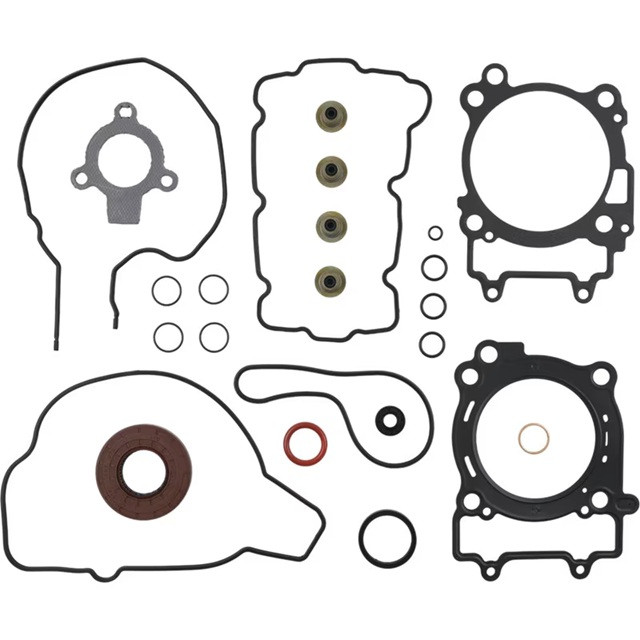 Complete Gasket Kit with Oil Seals WINDEROSA 8110076