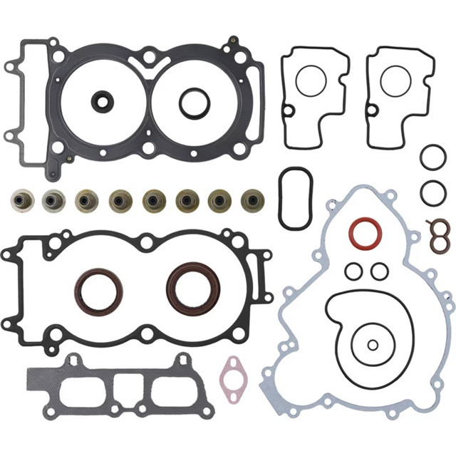 Complete Gasket Kit with Oil Seals WINDEROSA 8110077