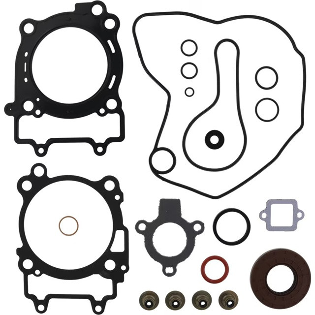 Complete Gasket Kit with Oil Seals WINDEROSA 8110078