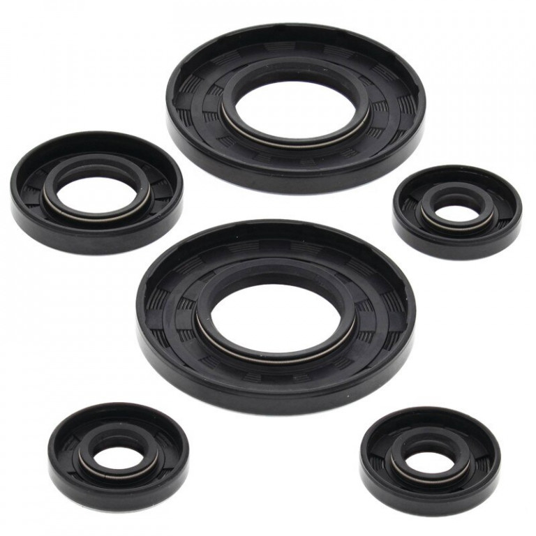 Engine Oil Seal Kit WINDEROSA 55101