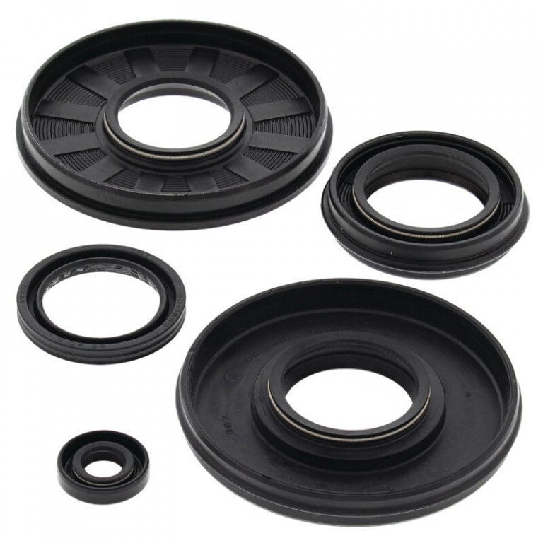 Engine Oil Seal Kit WINDEROSA 55133