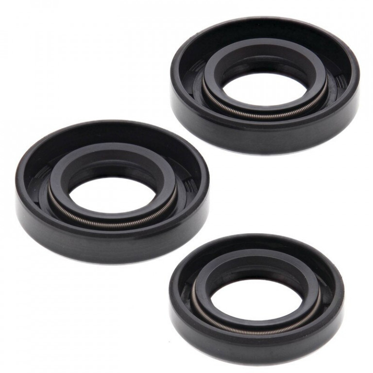 Engine Oil Seal Kit WINDEROSA 55179