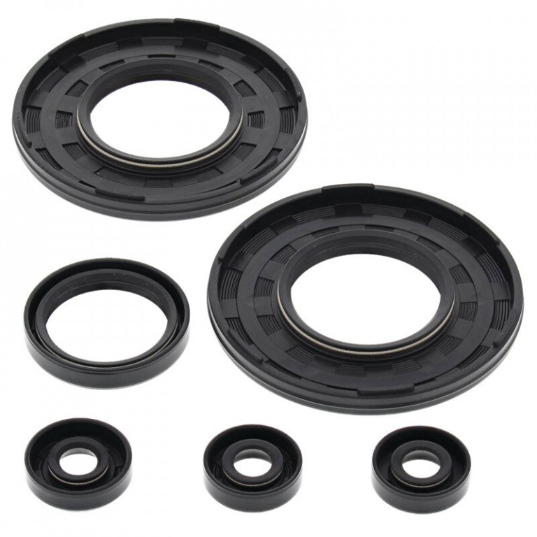 Engine Oil Seal Kit WINDEROSA 55181