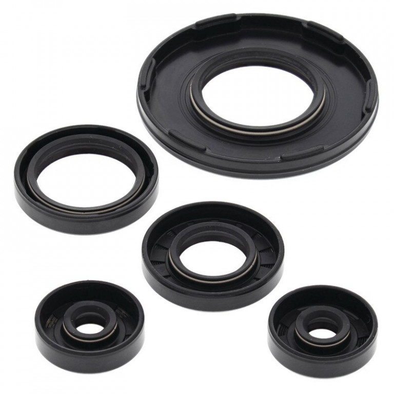 Engine Oil Seal Kit WINDEROSA 55190