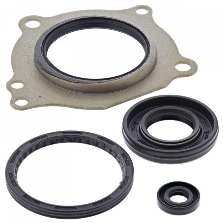 Engine Oil Seal Kit WINDEROSA 55228